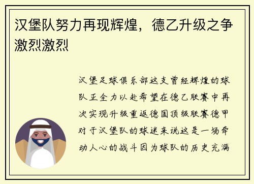 汉堡队努力再现辉煌，德乙升级之争激烈激烈